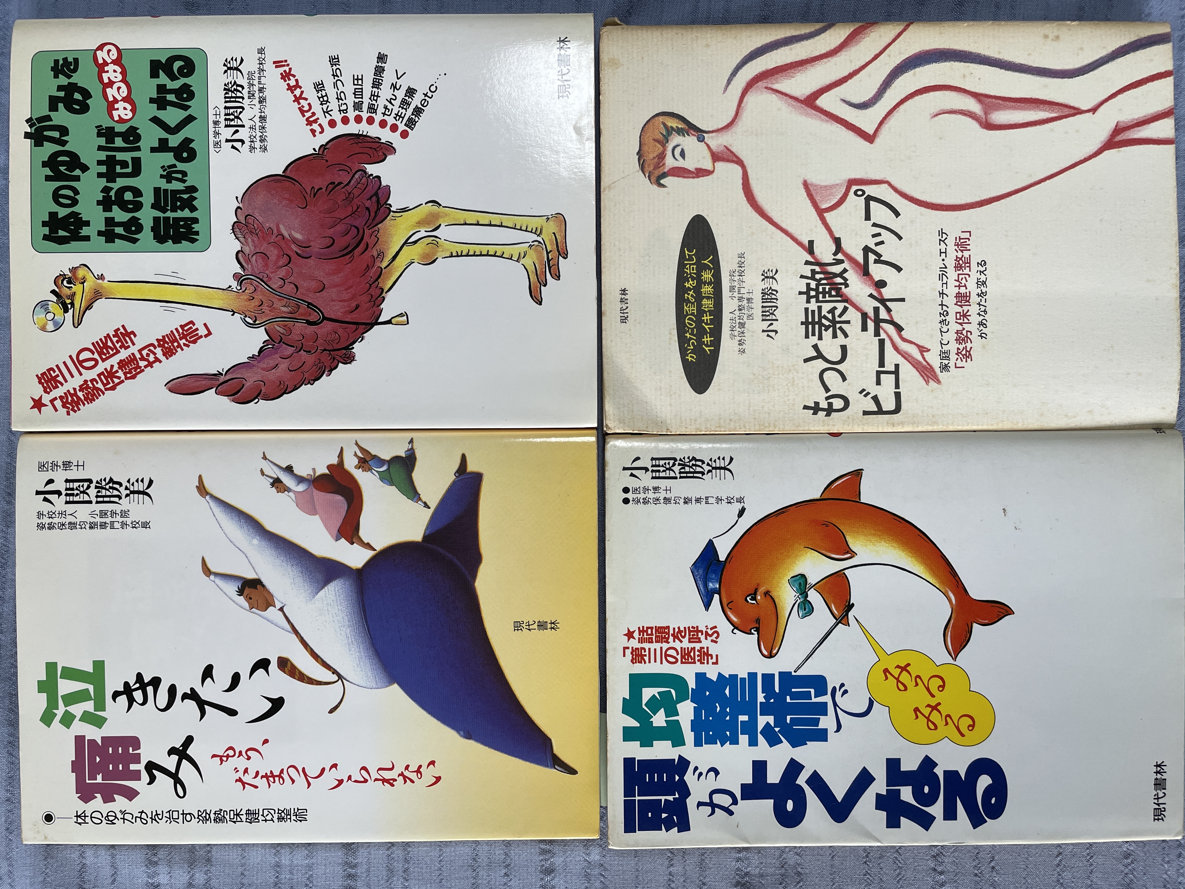 参考本。